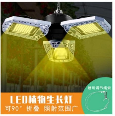 product3