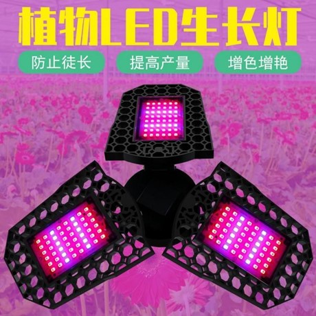 product5